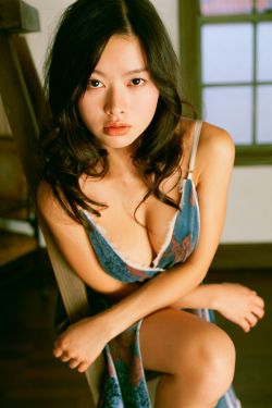 宠物小精灵国语